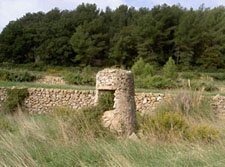 Le port de plaisance de Carqueiranne