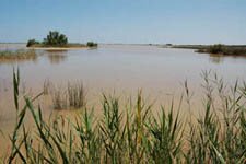 Mouillage au Grau de Vendres