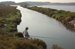 La pêche à la ligne dans les canaux à Gruissan