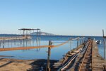 Dégustez les huîtres de Mèze sur un le pont de votre bateau ou sur les quai de cette jolie petite ville, un régale vous y attend