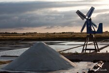 Sel marin sur la côte atlantique