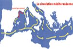 Cabotages- Courants de Méditerranée